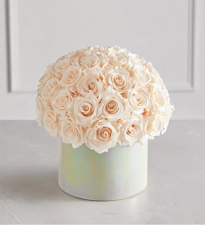 Magnificent Roses® Preserved Pink Perfection (Preserved Roses- Pink One Dozen)