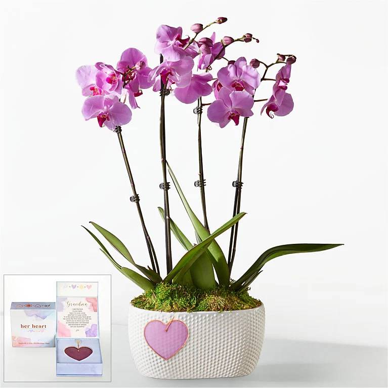 Pink Orchid Garden with Grandma Heart Keepsake