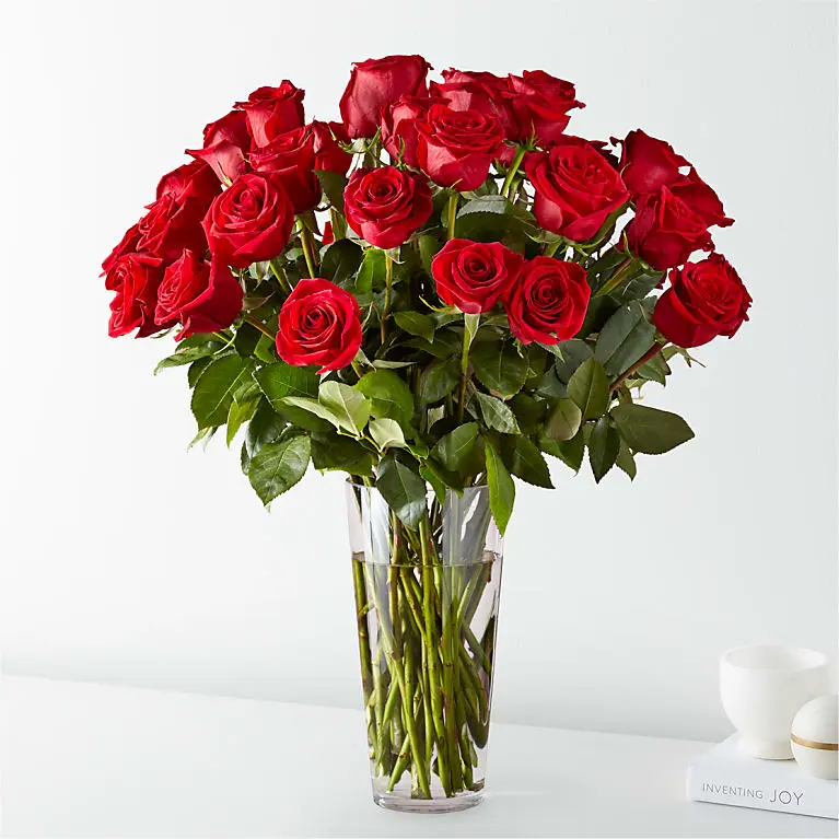Two Dozen Timeless Long Stem Red Roses