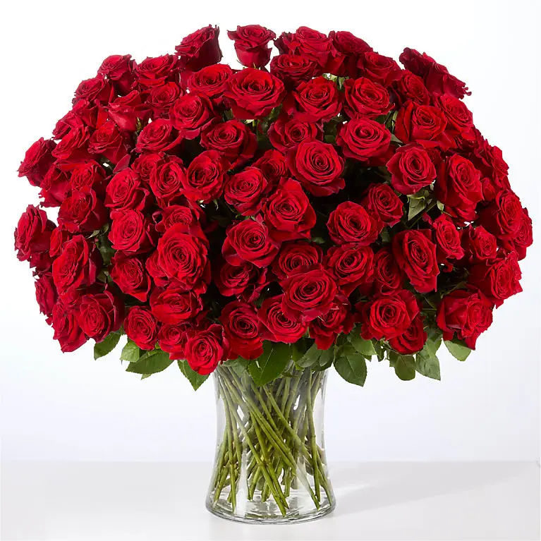 Love You More than 100 Red Roses