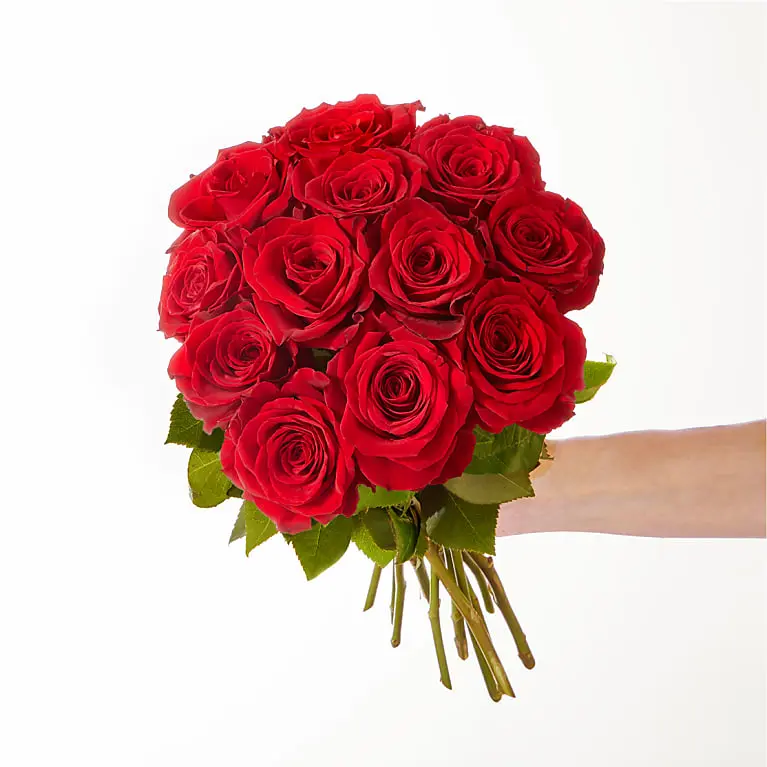 One Dozen Red Rose Bouquet