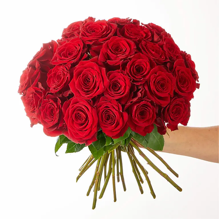 Two Dozen Red Rose Bouquet