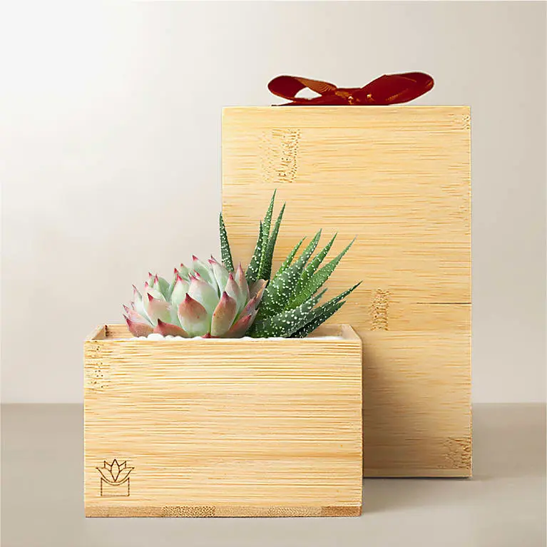 Lula's Garden - Red Bow Bamboo Gardens