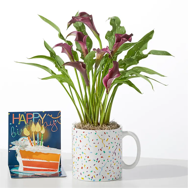 Purple Calla Celebration Mug