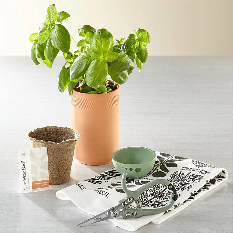 Kitchen Harvest Tool Set