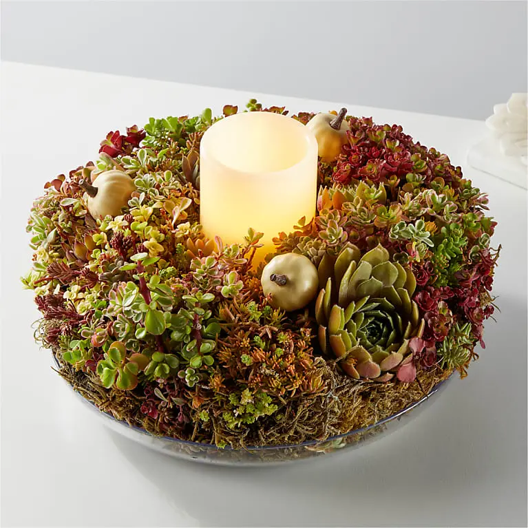 Living Succulent Wreath