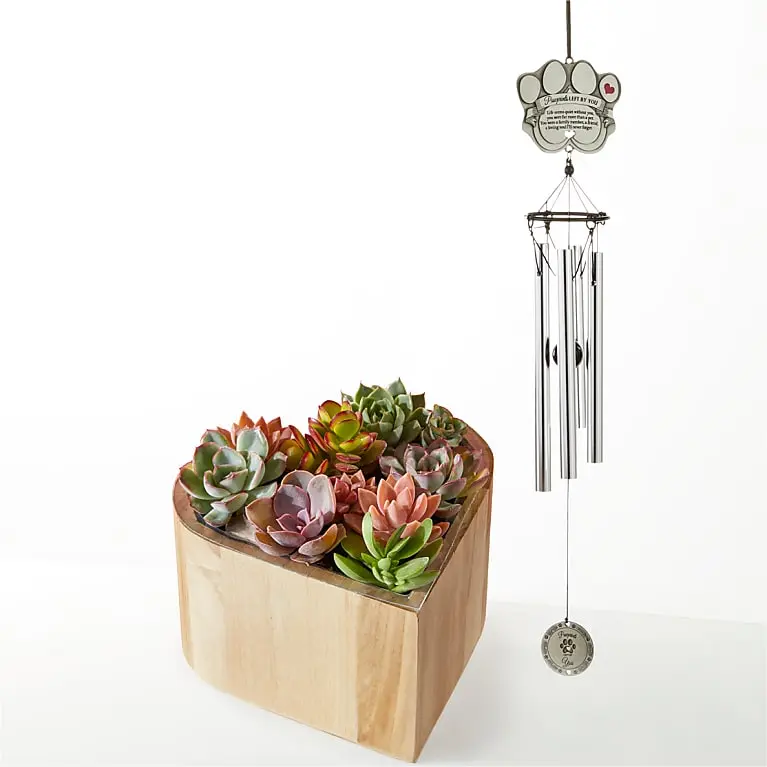 My Heart Succulent Garden with Pet Memorial Windchime