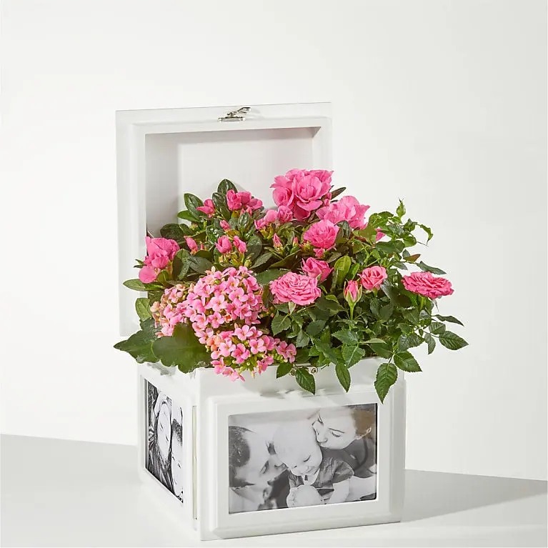 Blush Garden Keepsake Box