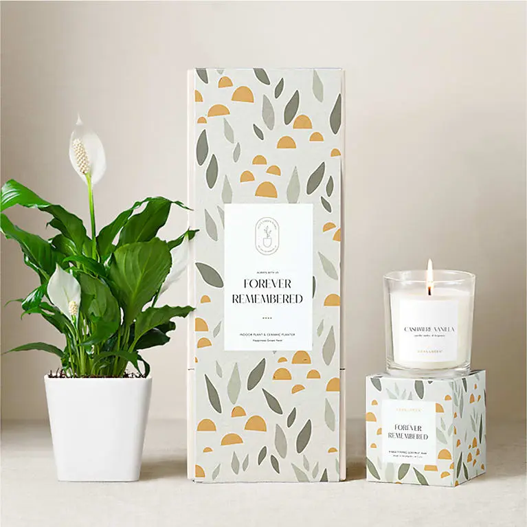 Lula's Garden Peace Lily Plant Gift Set - Forever Remembered