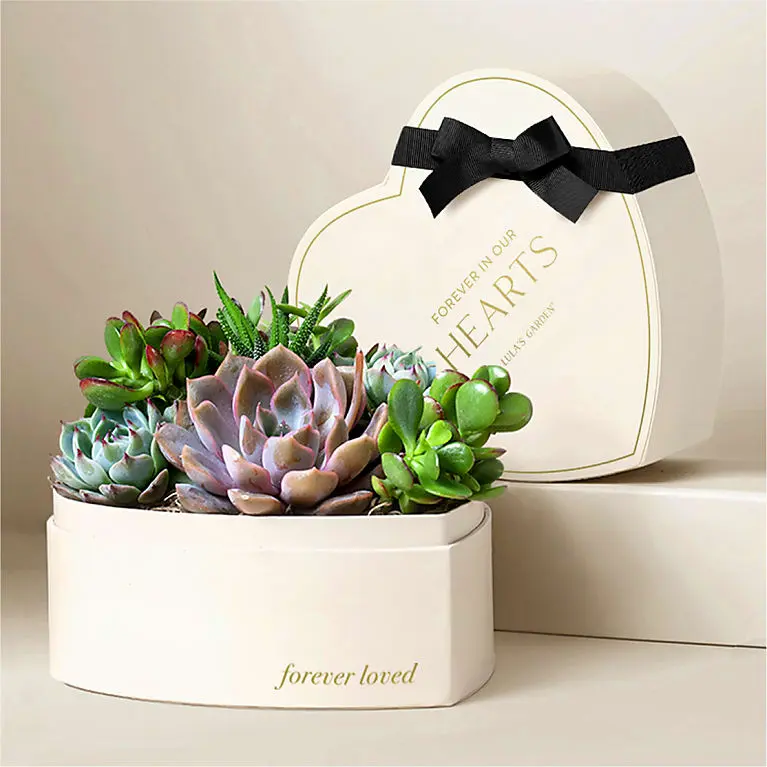 Lula's Heart Garden - Condolences