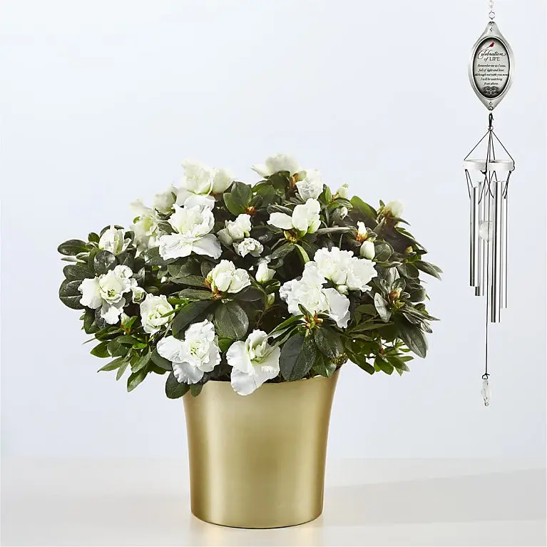 Savor Every Moment White Azalea & Celebration of Life Wind Chime