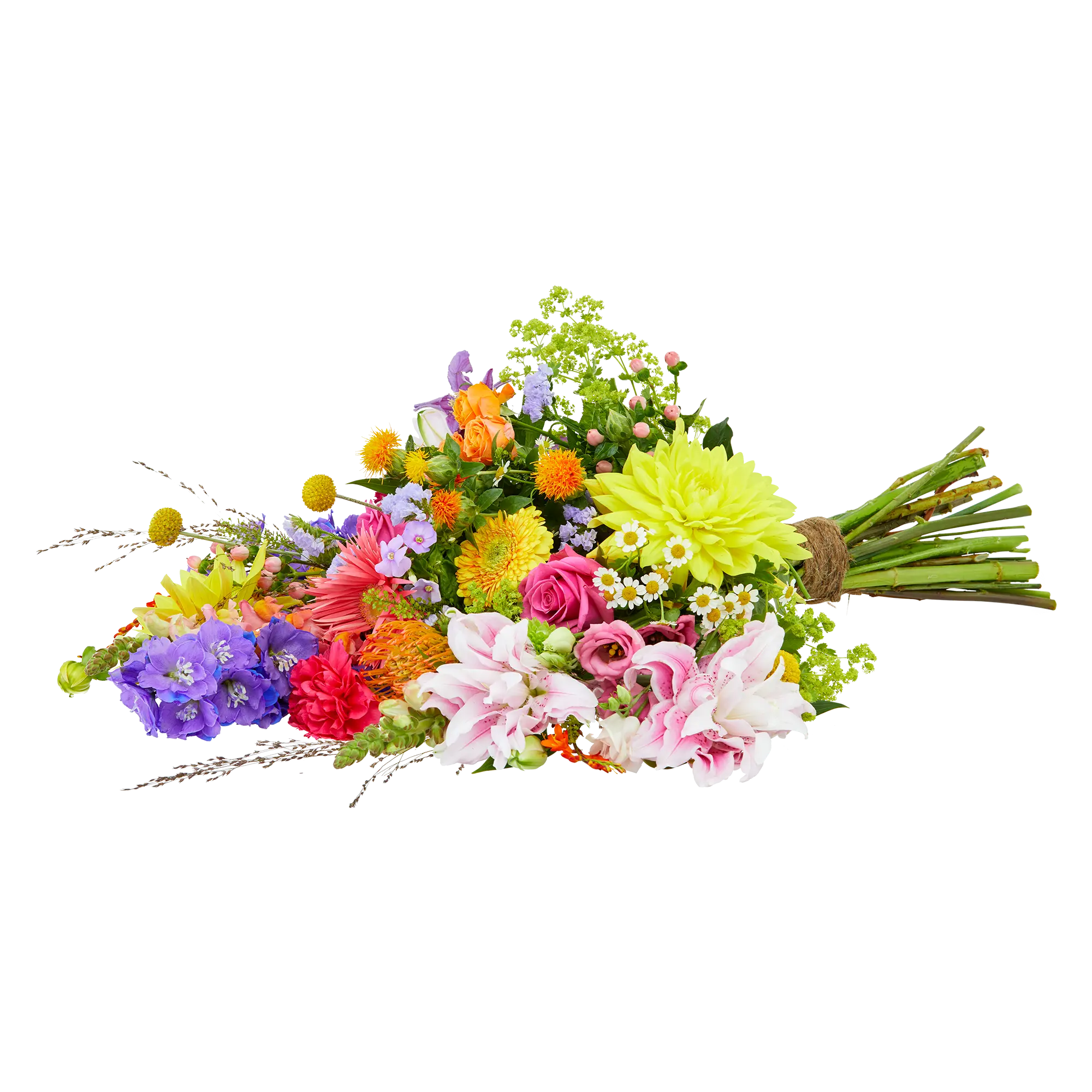 Colour splendor
