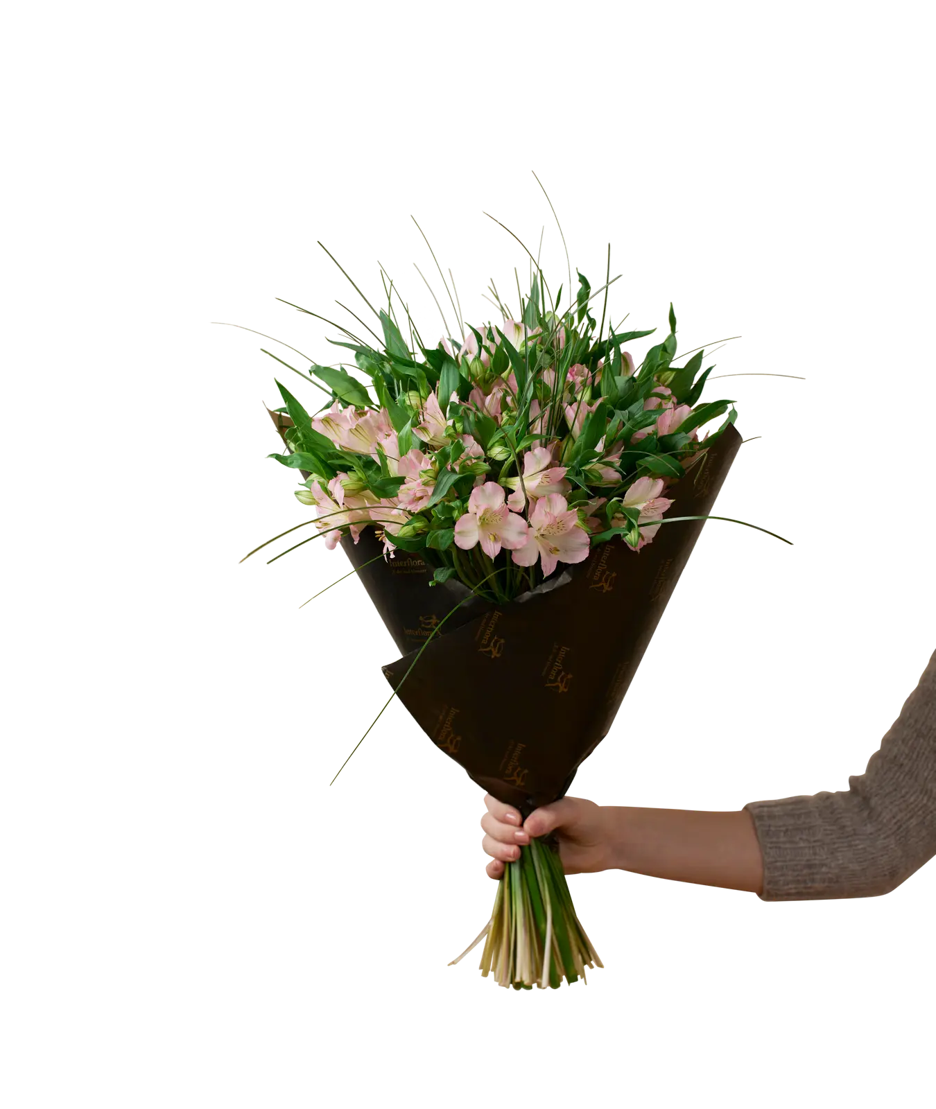Gorgeous Pink Alstromeria 242634