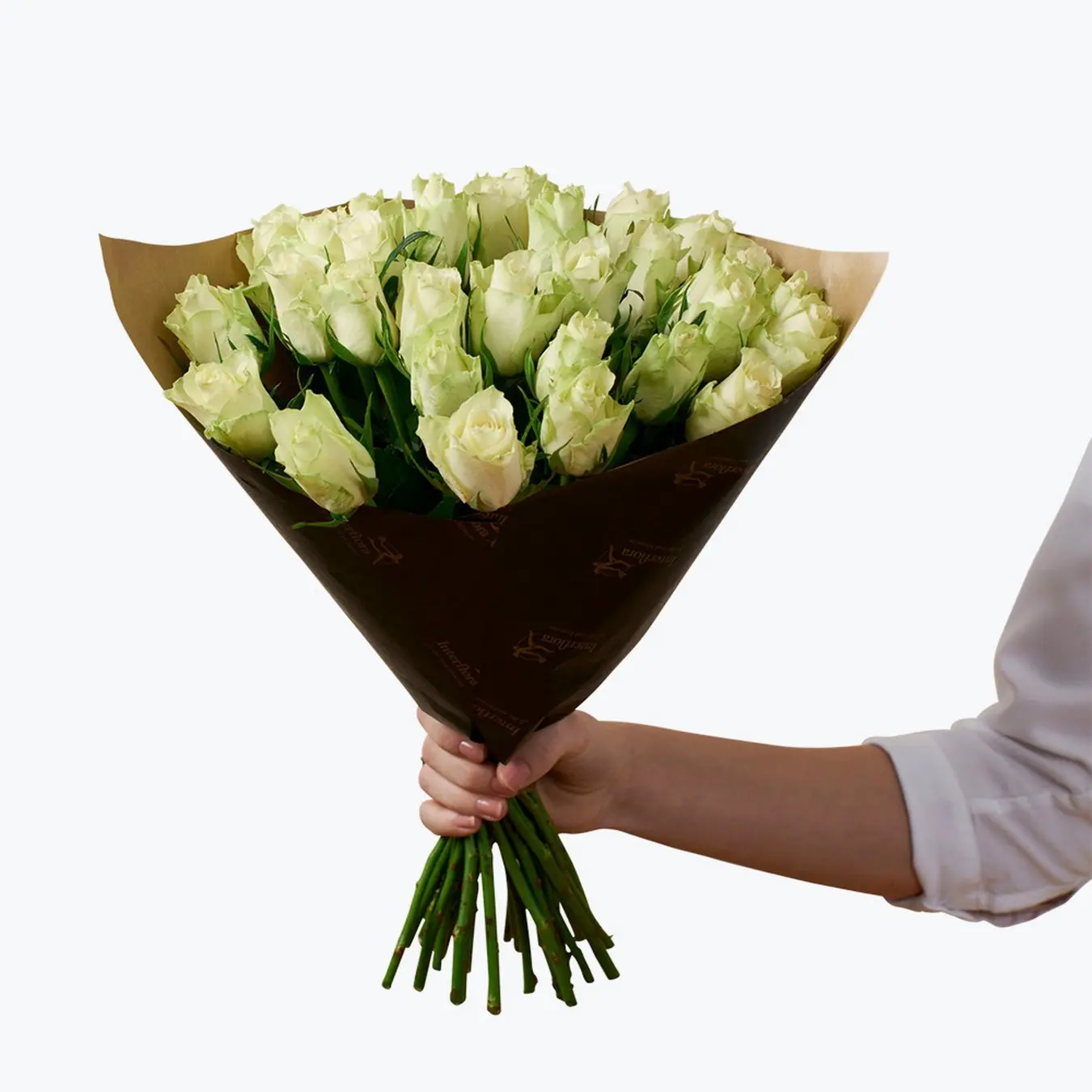 Roses White 30 242621