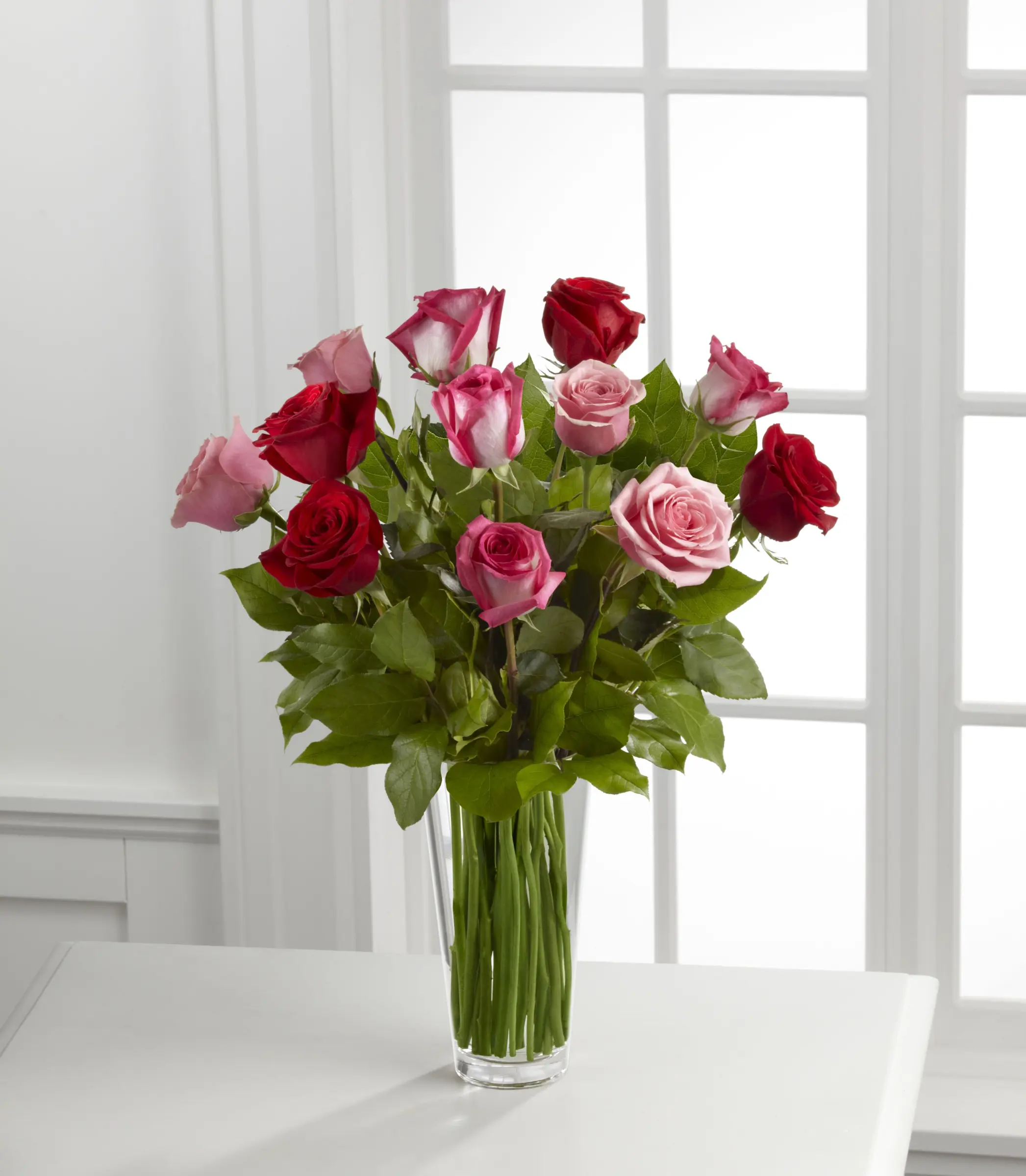 True Romance Rose