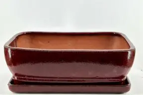 Parisian Red Rectangle Ceramic Bonsai Pot With Humidity / Drip Tray