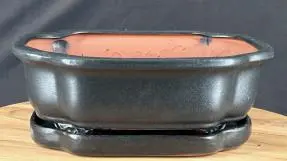 Matte Black Bonsai Pot With Matching Humidity Drip Tray 10.5" x 8.75" x 3.25"