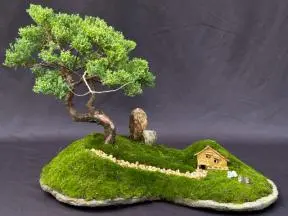 Juniper Bonsai Tree - Trained with Jin & Shari Style Planted on a Rock Slab (juniper procumbens "nana")