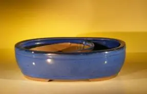 Blue Ceramic Bonsai Pot - Oval Land/Water Divider 11.25" x 9.5" x 3.0"