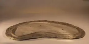 Rock Planting Slab - Large 26" x 16" x 1"