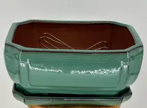 Light Green Ceramic Bonsai Pot - Rectangle Professional Series With Attached Humidity/Drip tray 10.75" x 8.5" x 4.125"