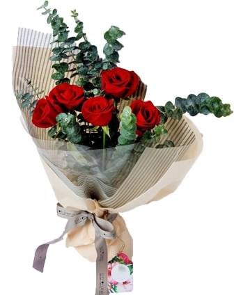 Red Romance (Basic)