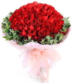 99 Amazing Red Roses (Basic)
