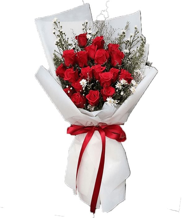 Beautiful red roses (Basic)