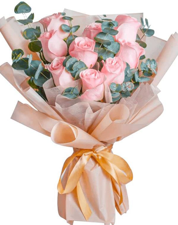 Cheery Pink (Basic)