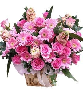Arrangement of Fragrance (Basic)