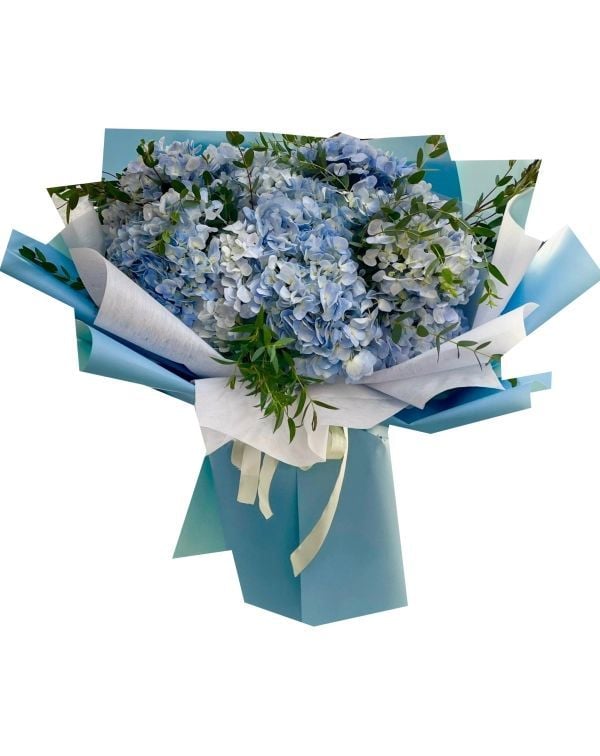 Special Hydrangeas (Basic)