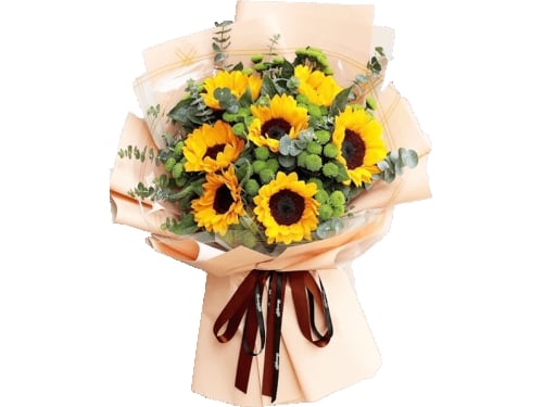 Sincere Wishes (Basic)