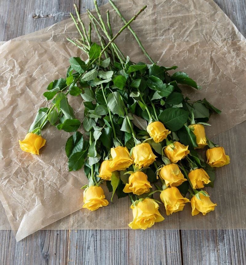 Yellow roses
