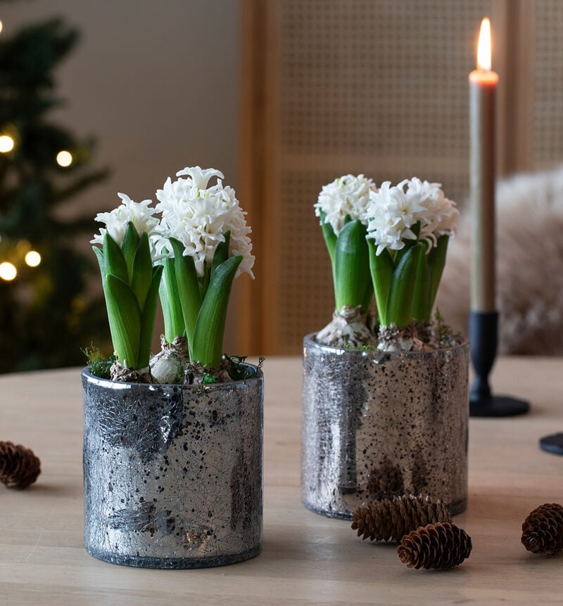 Swivel in glass pot