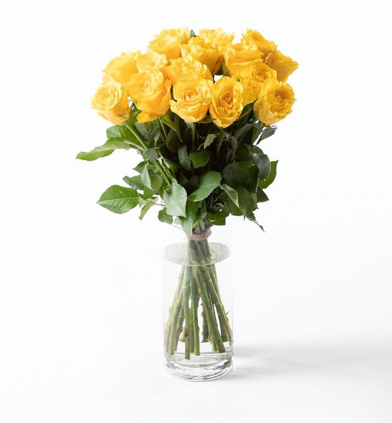 15 yellow roses