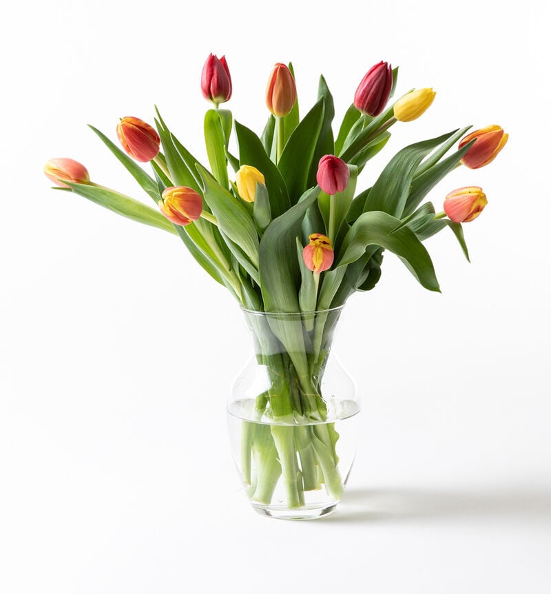 Tulip bouquet warm colors small