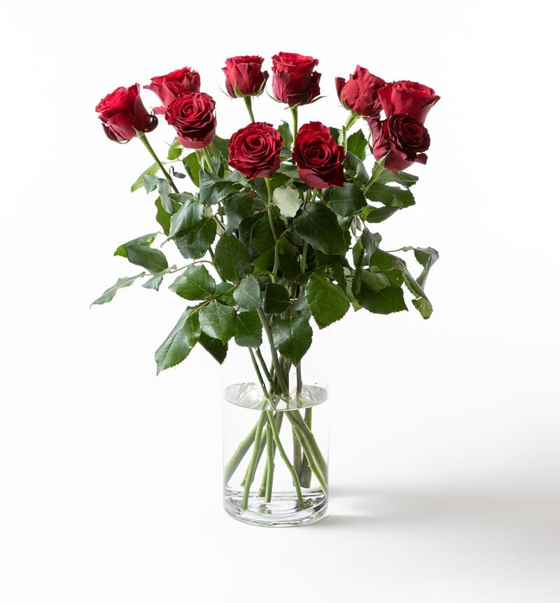 10 long-stemmed red roses