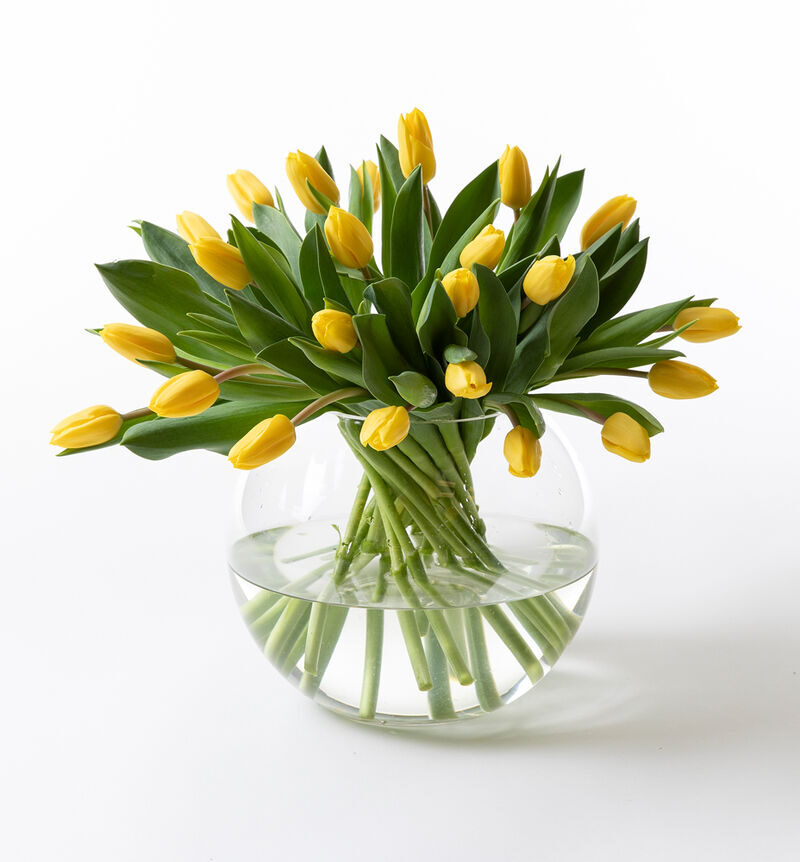 Yellow tulip bouquet large