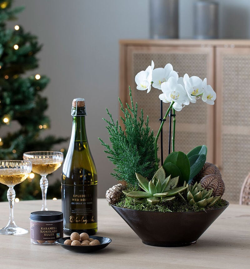 Orchid group with drink and chocolate