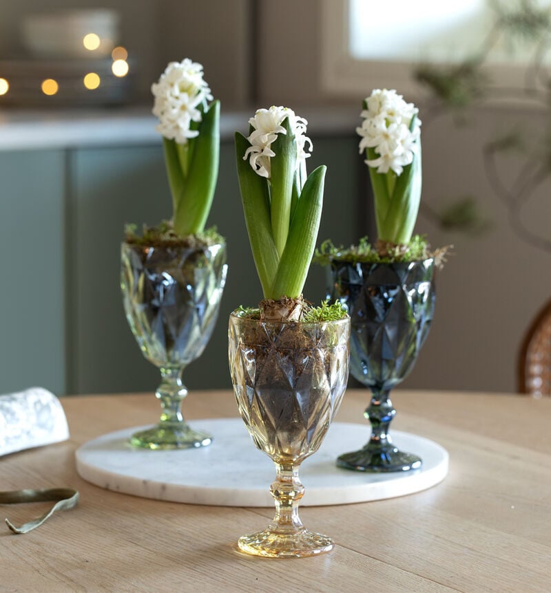 3 pieces of swivels in a glass pot on a stand