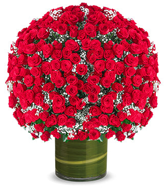 300 Royal Red Roses in a Vase