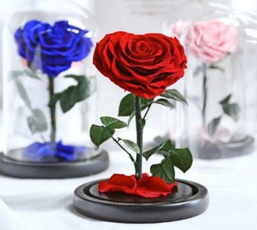 Eternal Preserved Red Heart Rose in Dome vase