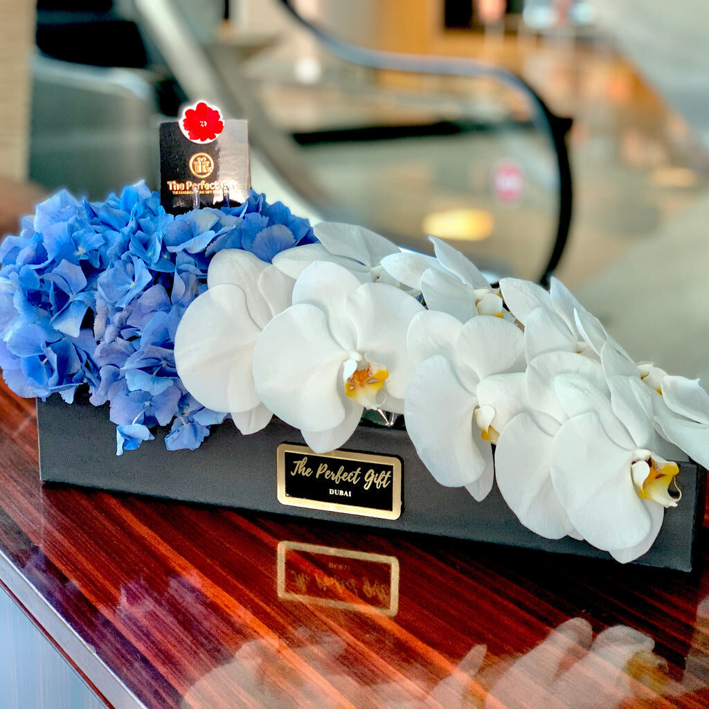 Blue Hydrangeas With White Orchids Gift Box
