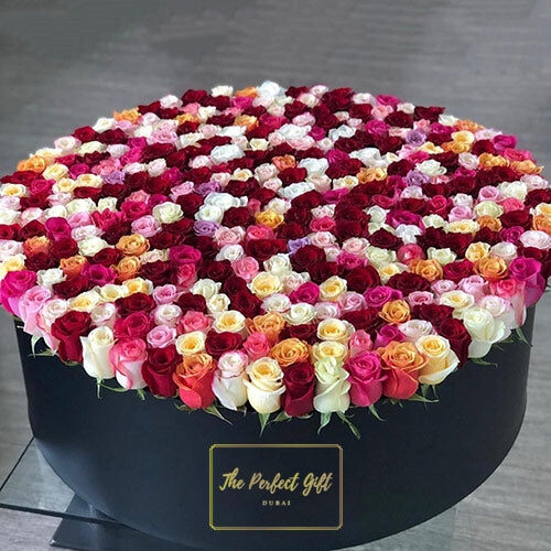 400 Luxury Roses Round Gift Box