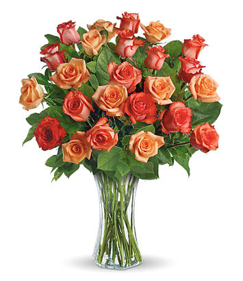 Orange Roses in a Vase
