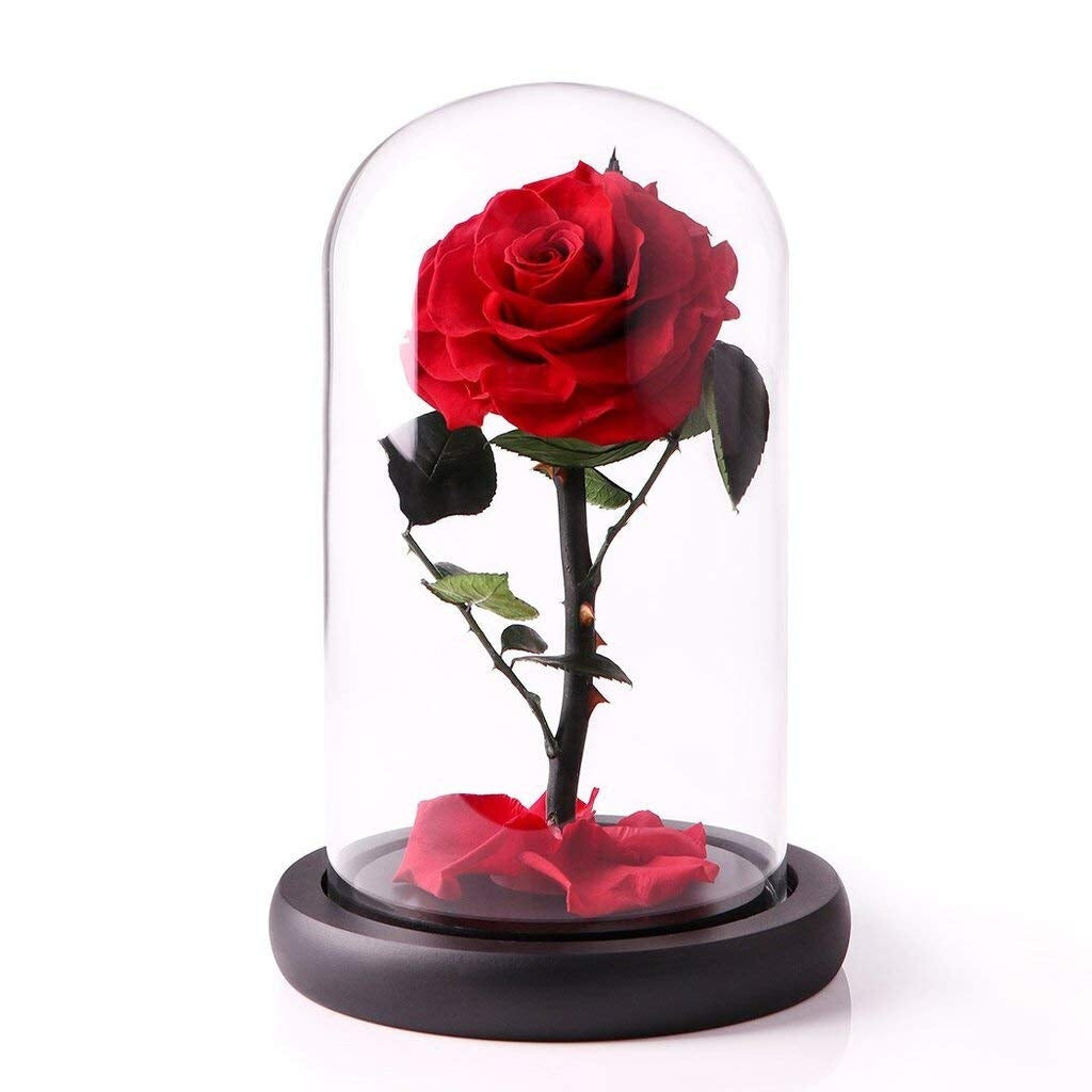 Eternal Preserved Red Rose in Dome vase