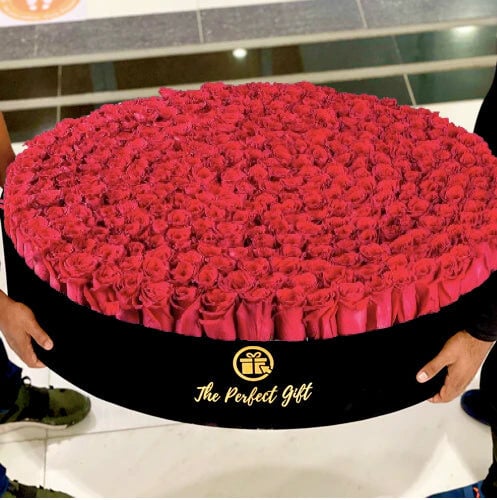 500 Luxury Red Roses in Velvet Box