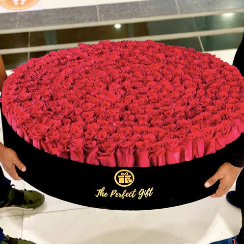 500 Luxury Red Roses in Velvet Box