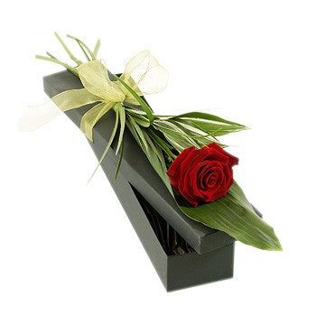 Single Rose in an Elegant Gift Box