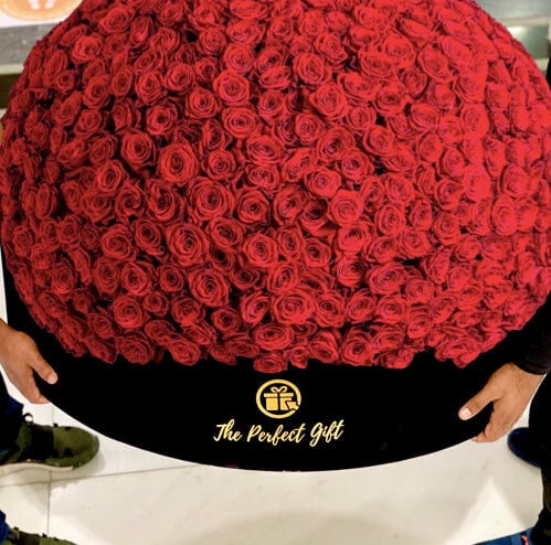 1000 Luxury Red Roses in Velvet Box